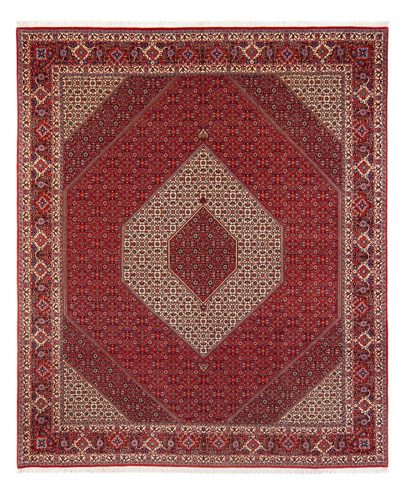 Perski dywan - Bijar - Royal - 301 x 253 cm - kremowy