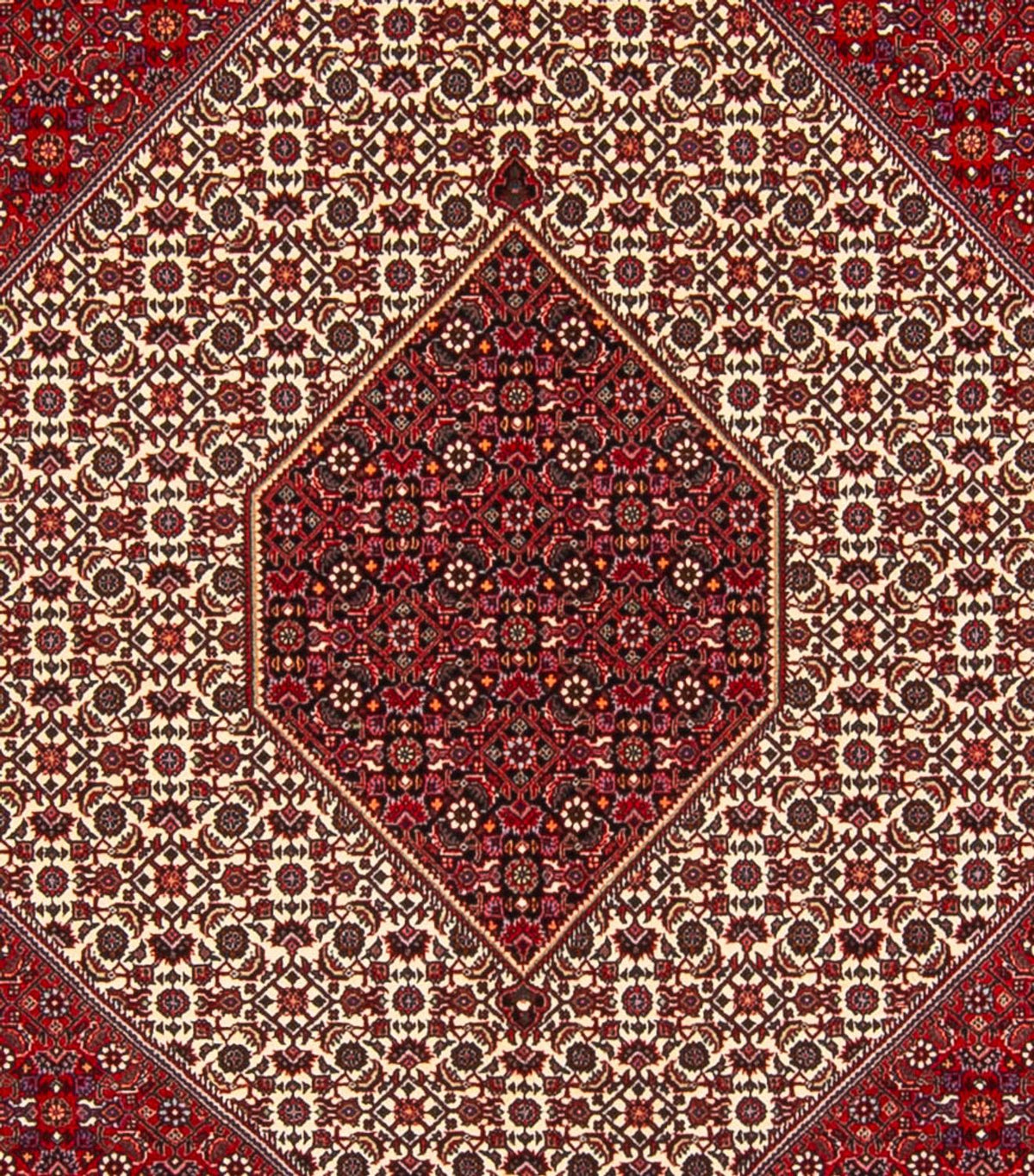 Perski dywan - Bijar - Royal - 301 x 253 cm - kremowy