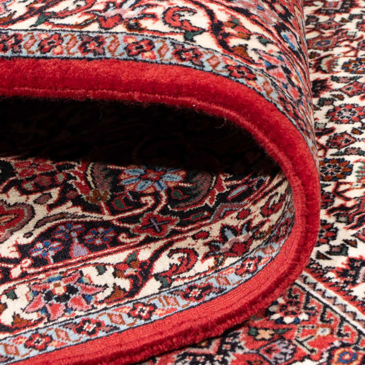 Perski dywan - Bijar - Royal - 301 x 253 cm - kremowy