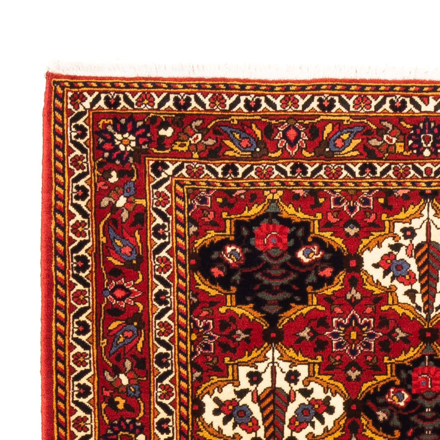 Bakhtiari Dywan 159x110cm - Dywan perski