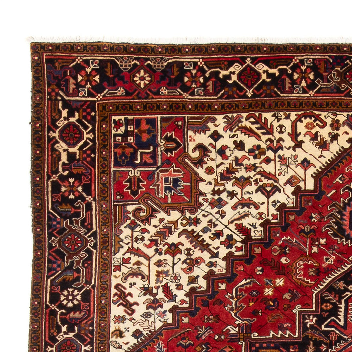 Perski dywan - Nomadyczny - 339 x 243 cm - kremowy