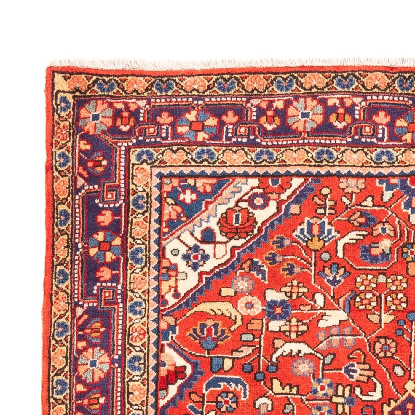 Jozan Dywan 160x108cm - Dywan perski