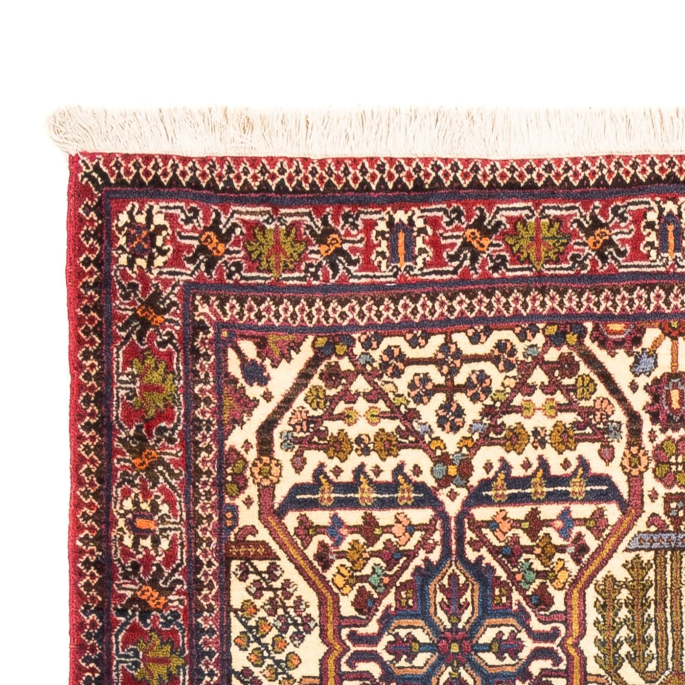 Ardabil Dywan 160x105cm - Dywan perski