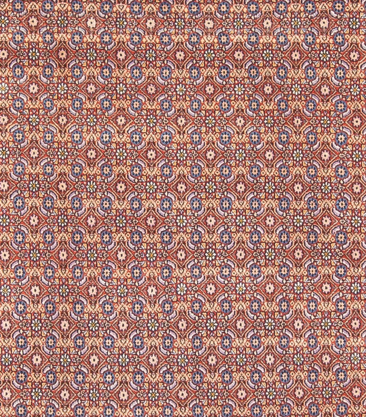 Dywan perski - Klasyczny - 294 x 243 cm - ciemnoniebieski