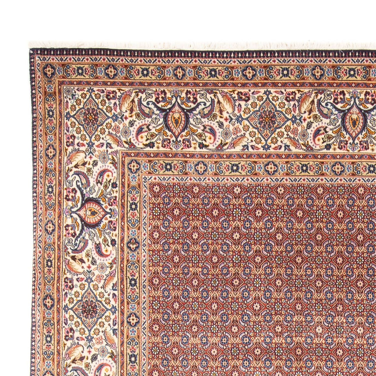 Moud Dywan 243x294cm - Dywan perski