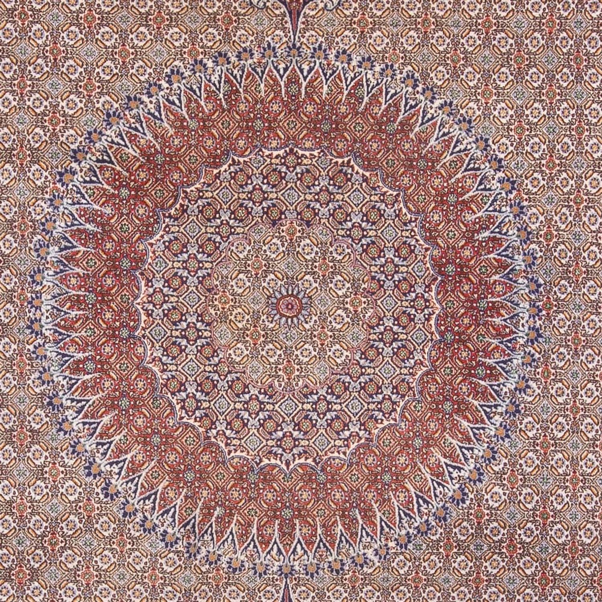 Dywan perski - Klasyczny - 388 x 293 cm - ciemny beż