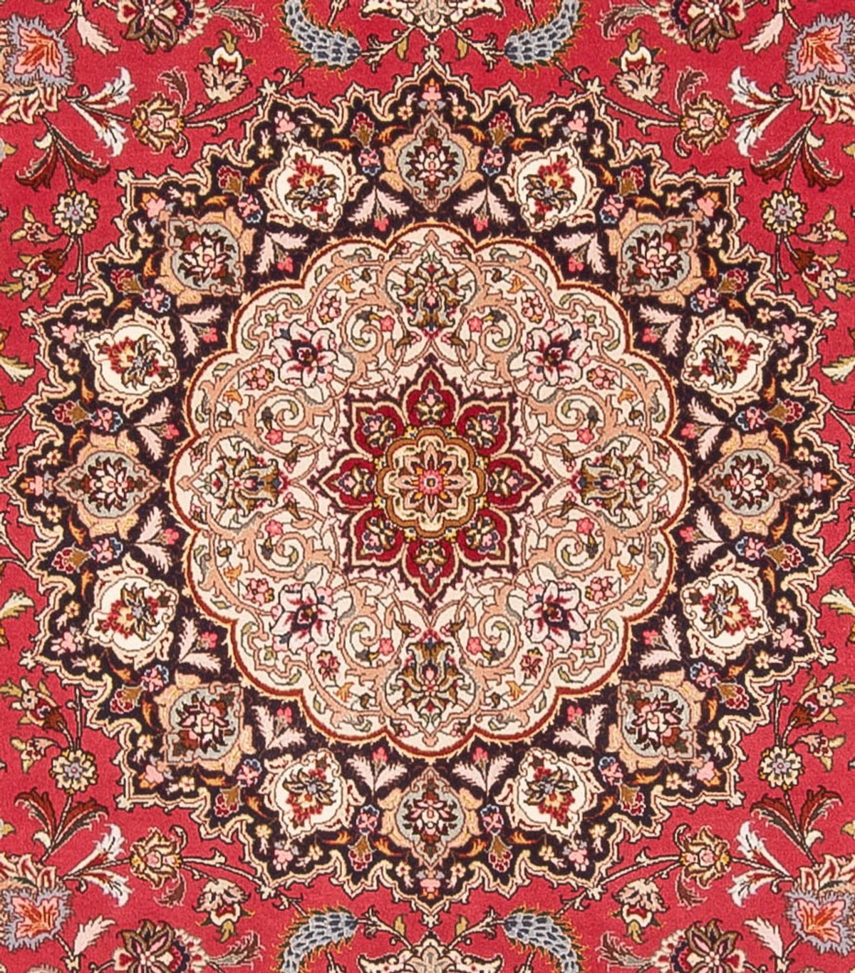 Dywan perski - Tabriz - Królewski kwadratowy  - 252 x 252 cm - czerwony