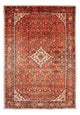 Kolyai Dywan 314x216cm - Dywan perski