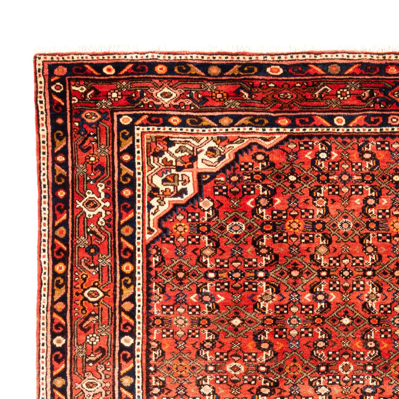 Kolyai Dywan 314x216cm - Dywan perski