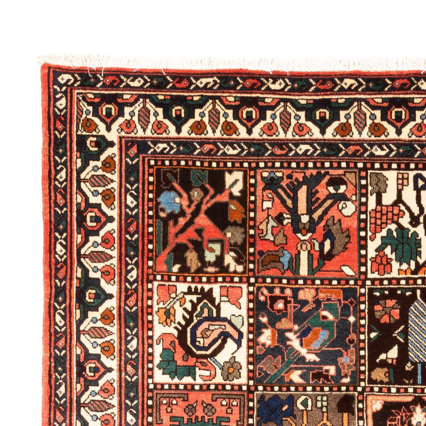 Bakhtiari Dywan 300x205cm - Dywan perski