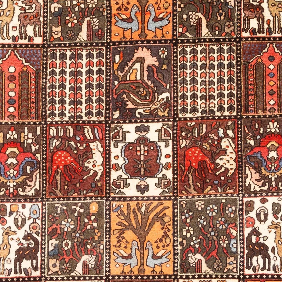 Perski dywan - Nomadyczny - 314 x 207 cm - wielokolorowy