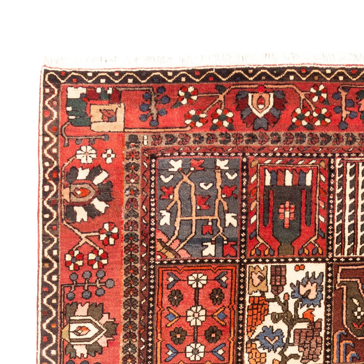 Perski dywan - Nomadyczny - 314 x 207 cm - wielokolorowy