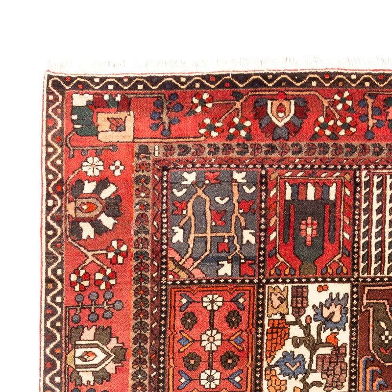 Perski dywan - Nomadyczny - 314 x 207 cm - wielokolorowy