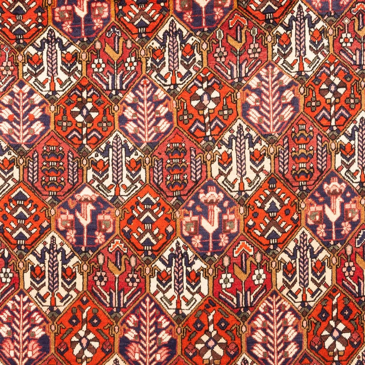 Perski dywan - Nomadyczny - 310 x 210 cm - czerwony