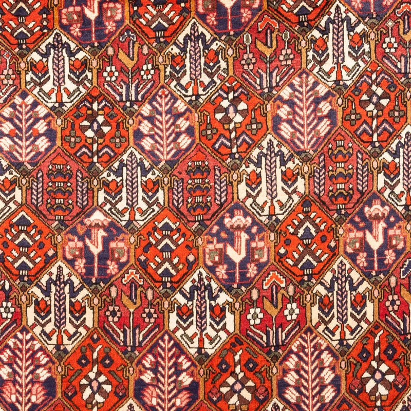 Perski dywan - Nomadyczny - 310 x 210 cm - czerwony