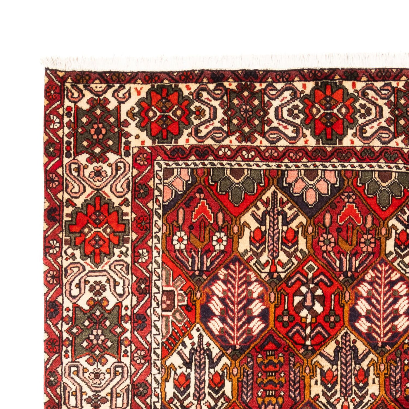 Bakhtiari Dywan 310x210cm - Dywan perski