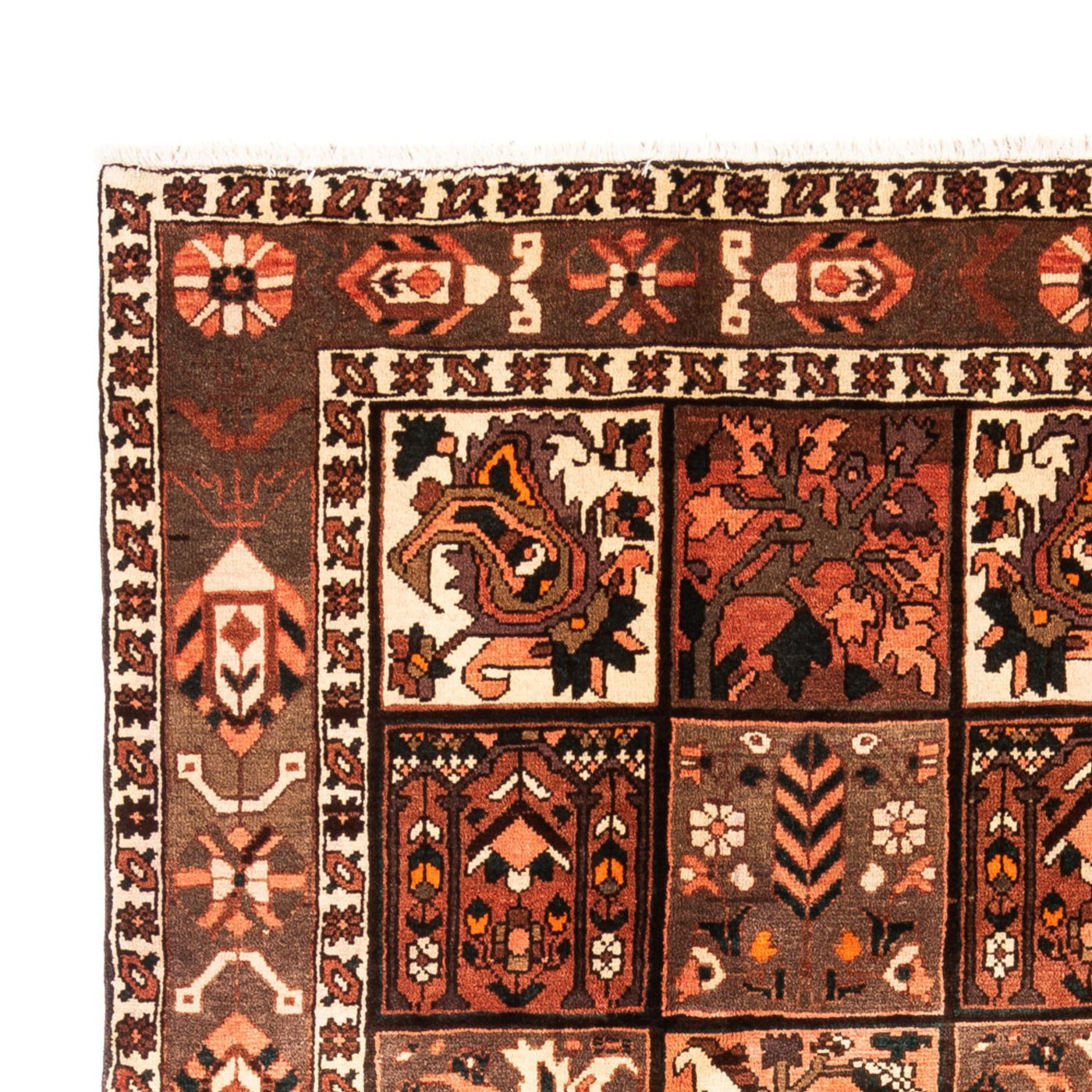 Bakhtiari Dywan 307x206cm - Dywan perski
