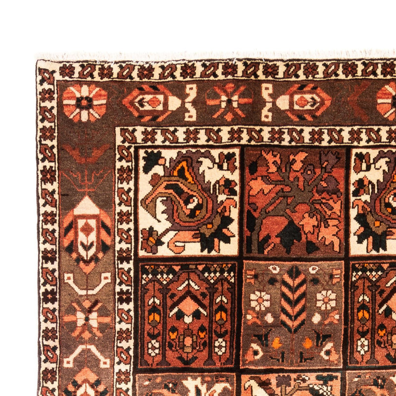 Perski dywan - Nomadyczny - 307 x 206 cm - wielokolorowy