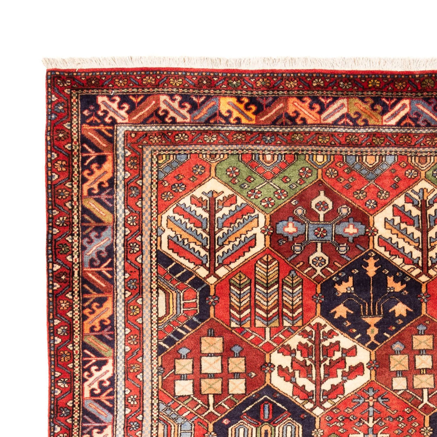 Gabbeh perski Dywan 325x218cm - Perserteppich Wollteppich