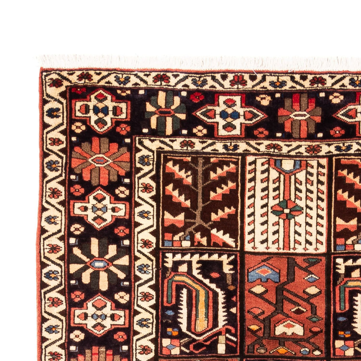 Perski dywan - Nomadyczny - 290 x 200 cm - wielokolorowy