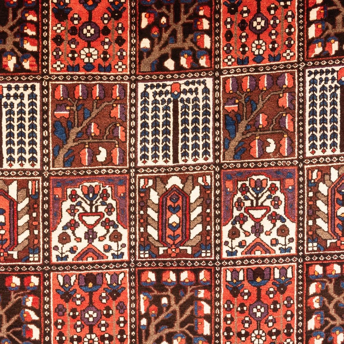 Perski dywan - Nomadyczny - 317 x 210 cm - wielokolorowy