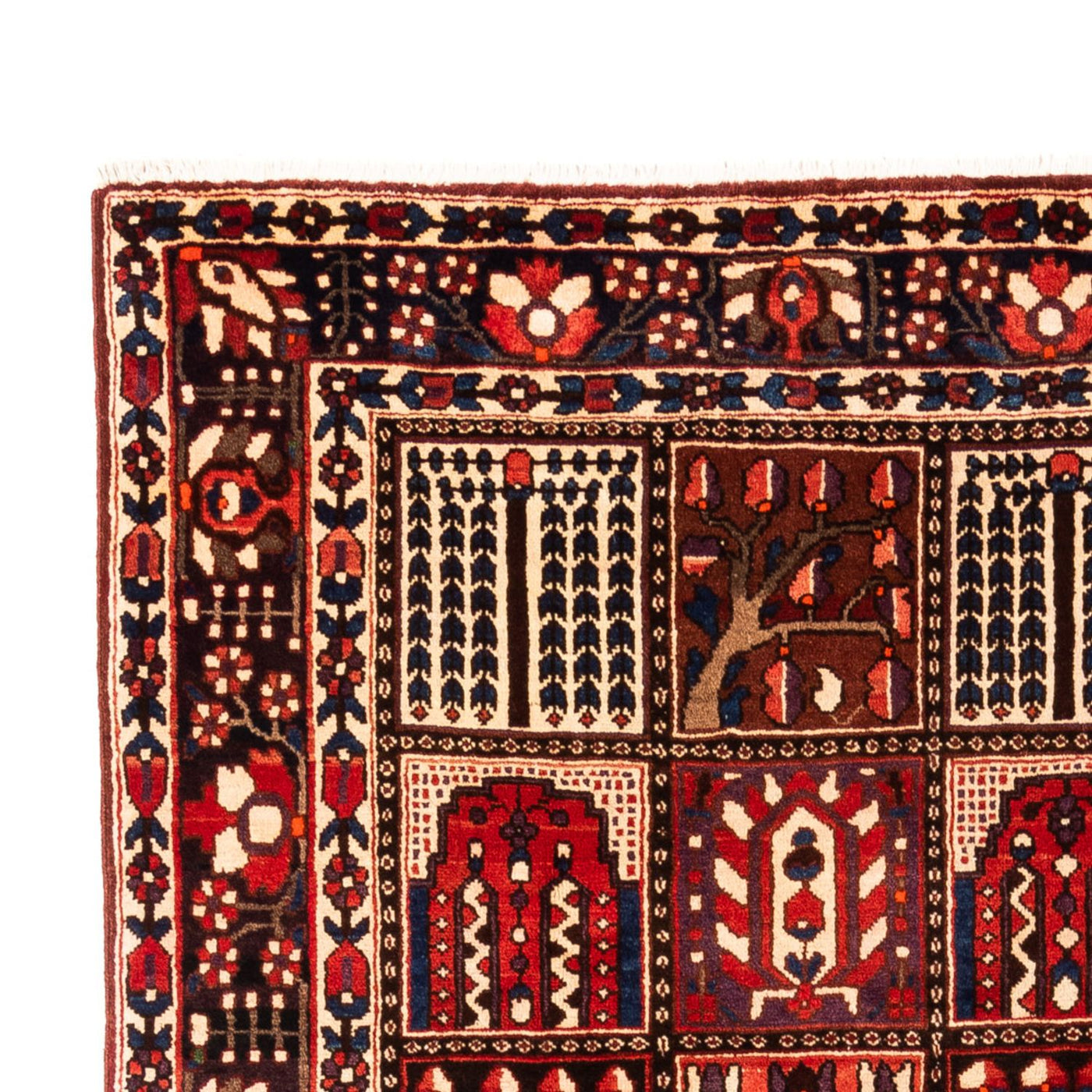 Bakhtiari Dywan 317x210cm - Dywan perski