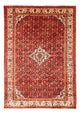Perski dywan - Nomadyczny - Royal - 285 x 204 cm - wielokolorowy