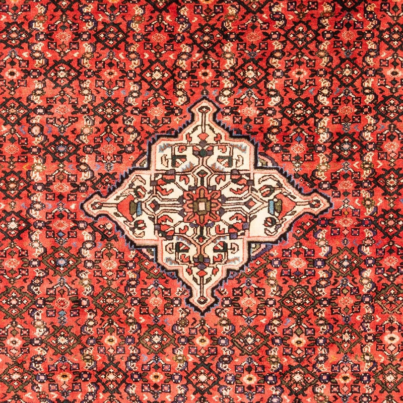 Perski dywan - Nomadyczny - Royal - 285 x 204 cm - wielokolorowy