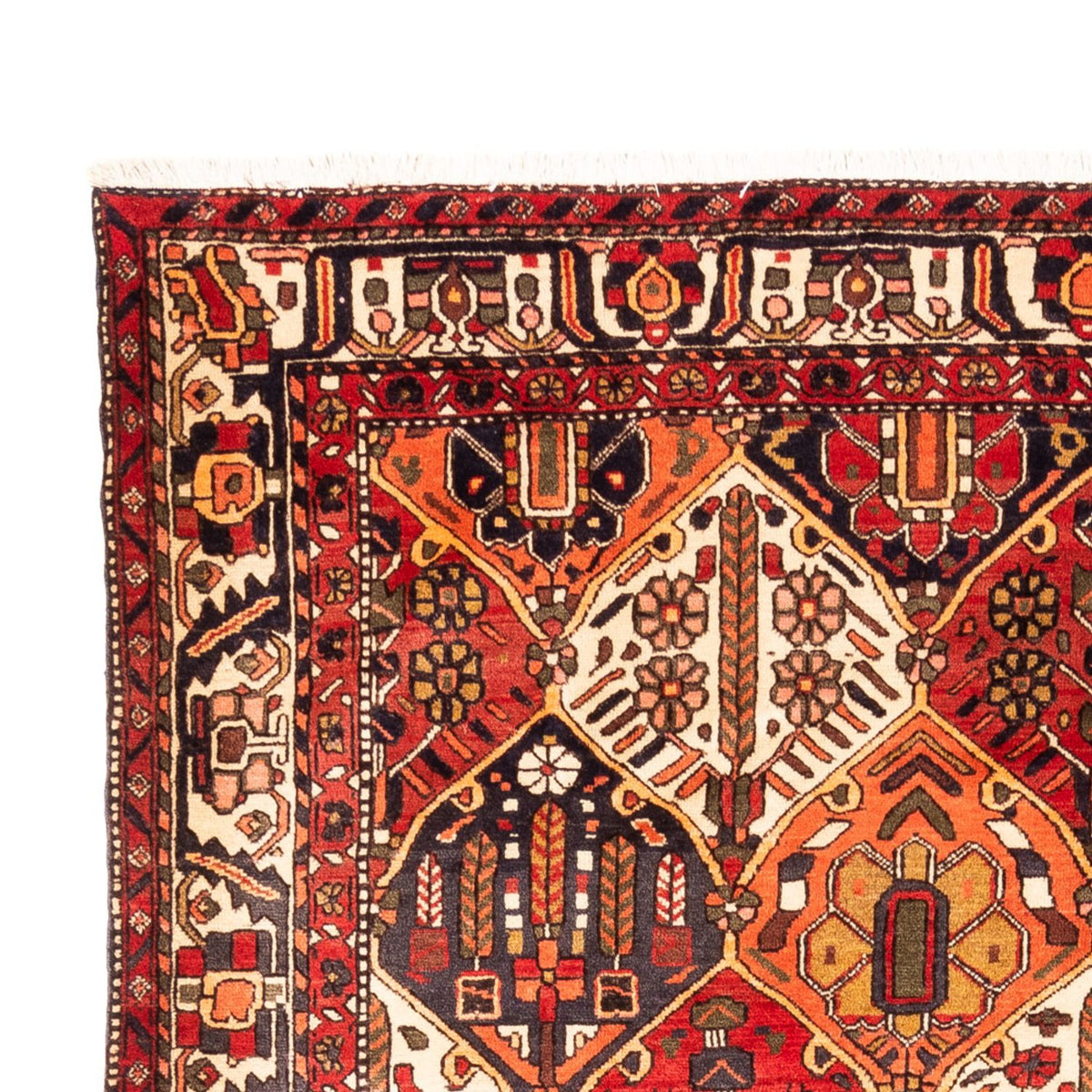 Perski dywan - Nomadyczny - 303 x 218 cm - wielokolorowy