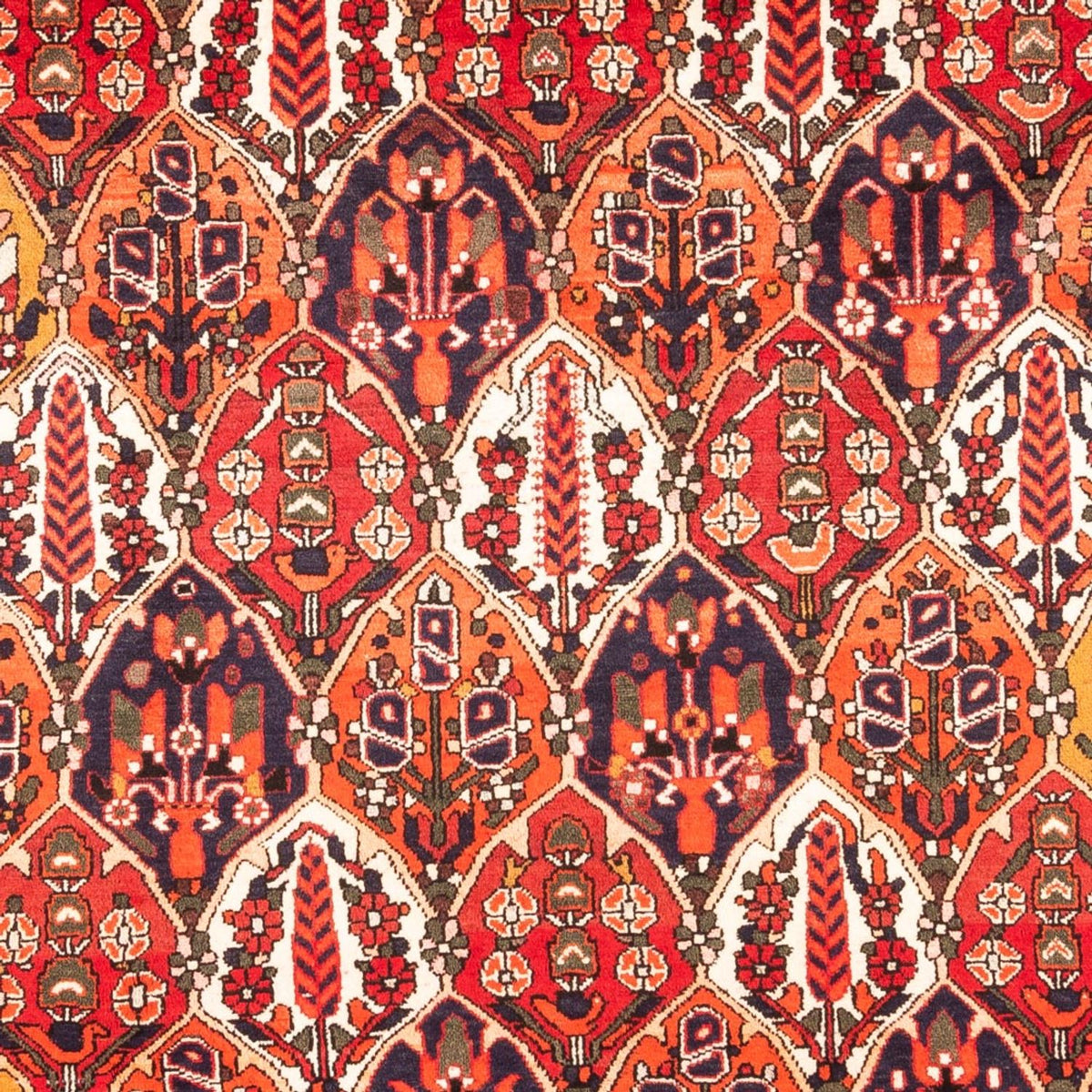 Perski dywan - Nomadyczny - 300 x 220 cm - wielokolorowy