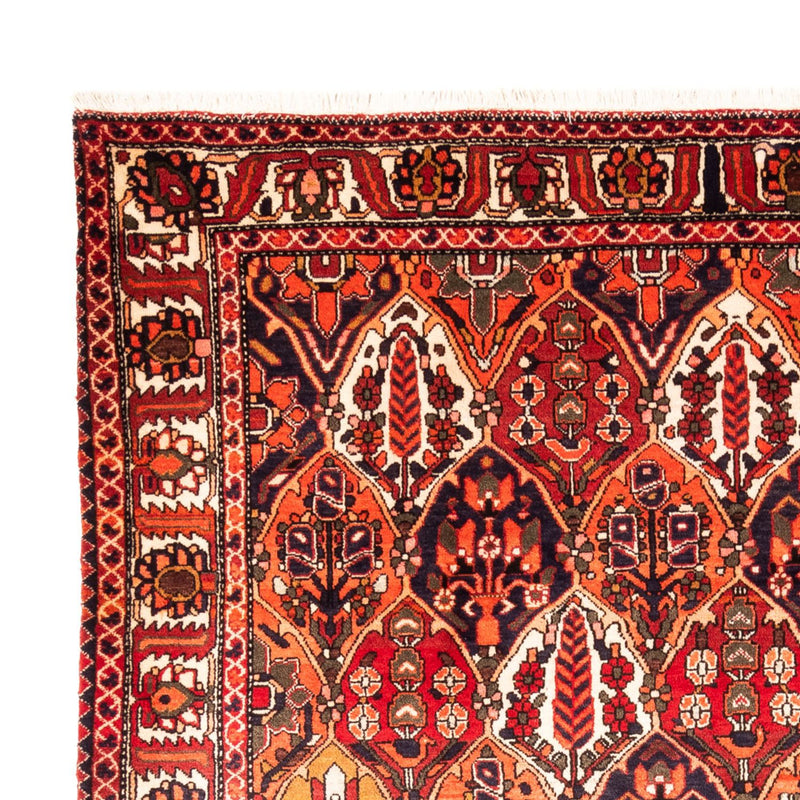 Perski dywan - Nomadyczny - 300 x 220 cm - wielokolorowy