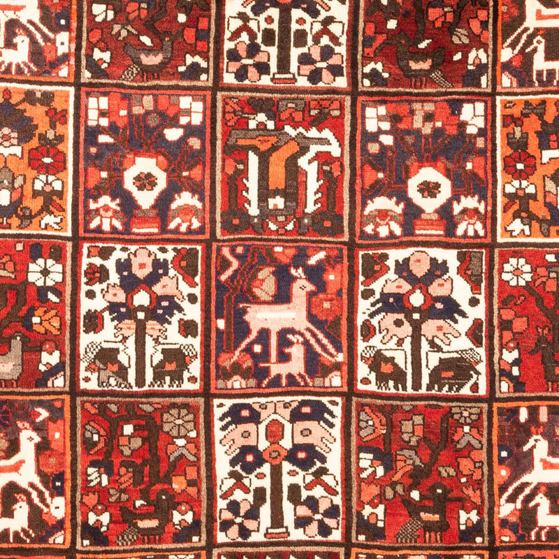 Perski dywan - Nomadyczny - 307 x 205 cm - wielokolorowy