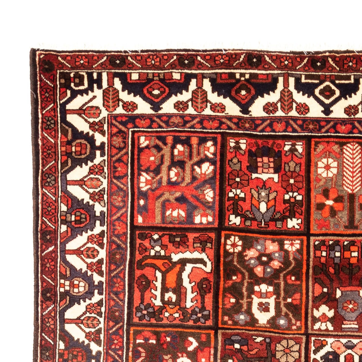 Bakhtiari Dywan 307x205cm - Dywan perski