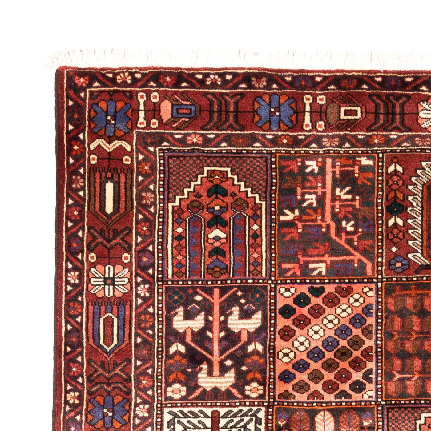 Bachtiar Dywan 310x208cm - Dywan perski