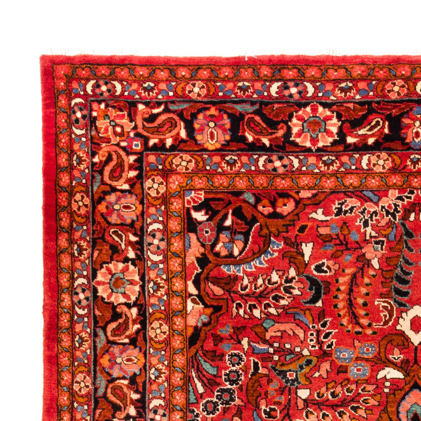 Lilian Dywan 340x227cm - Dywan perski