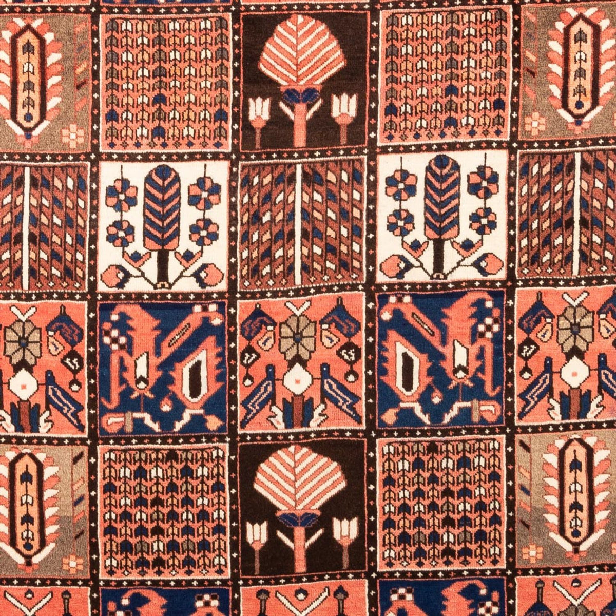 Perski dywan - Nomadyczny - 304 x 198 cm - wielokolorowy