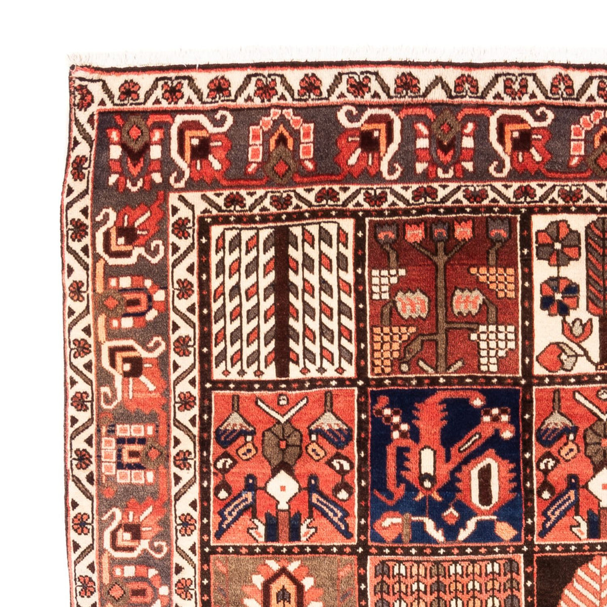 Perski dywan - Nomadyczny - 304 x 198 cm - wielokolorowy