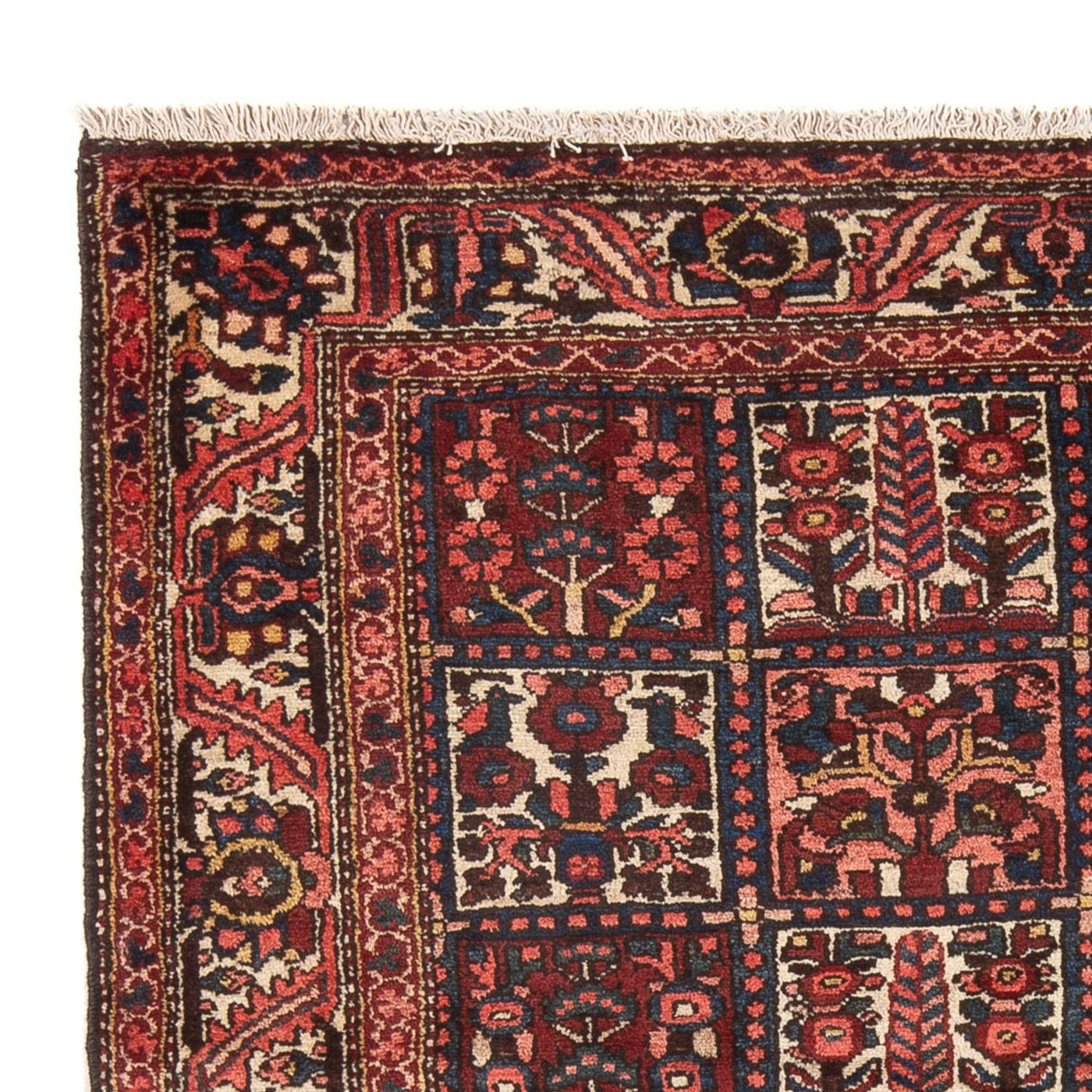 Bakhtiari Dywan 202x157cm - Dywan perski