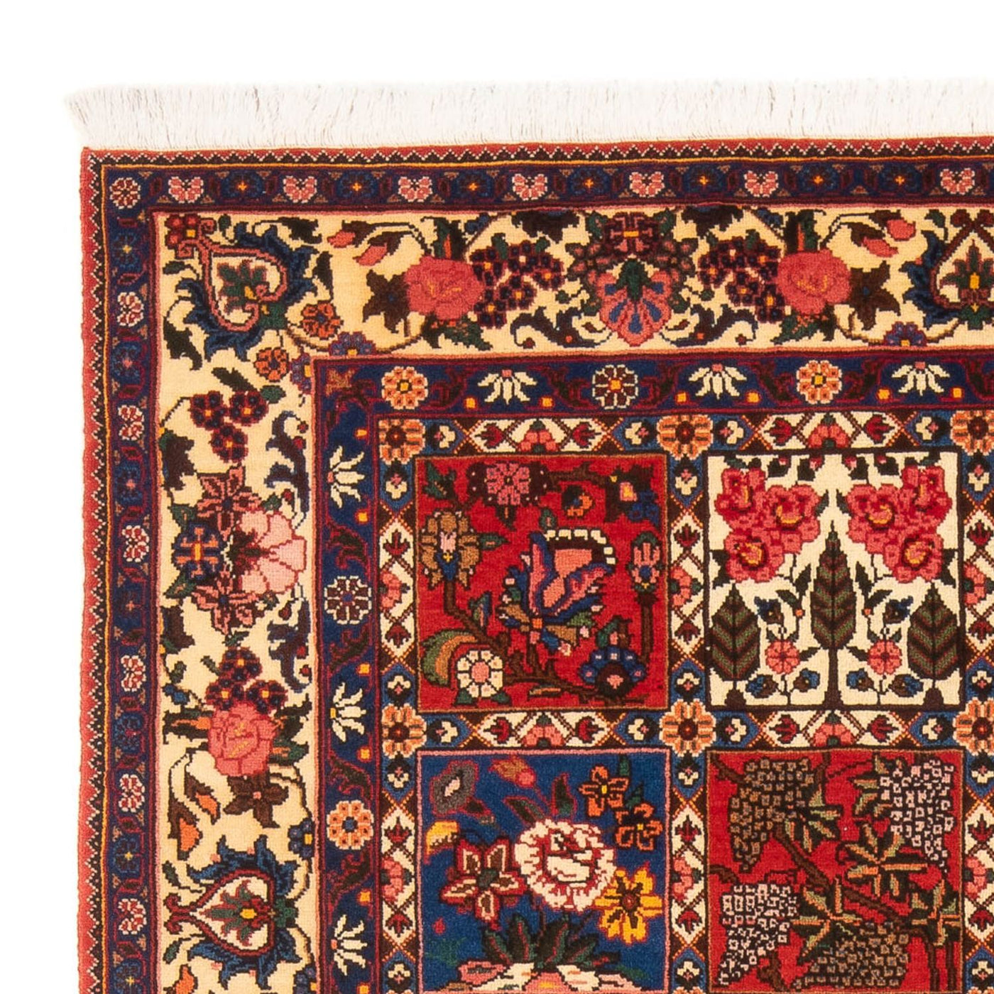 Bakhtiari Dywan 205x138cm - Dywan perski