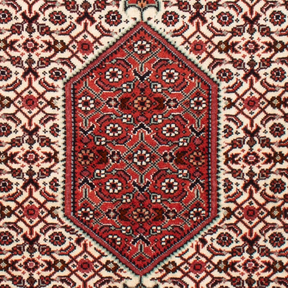 Perski dywan - Bijar - Royal - 90 x 70 cm - beżowy