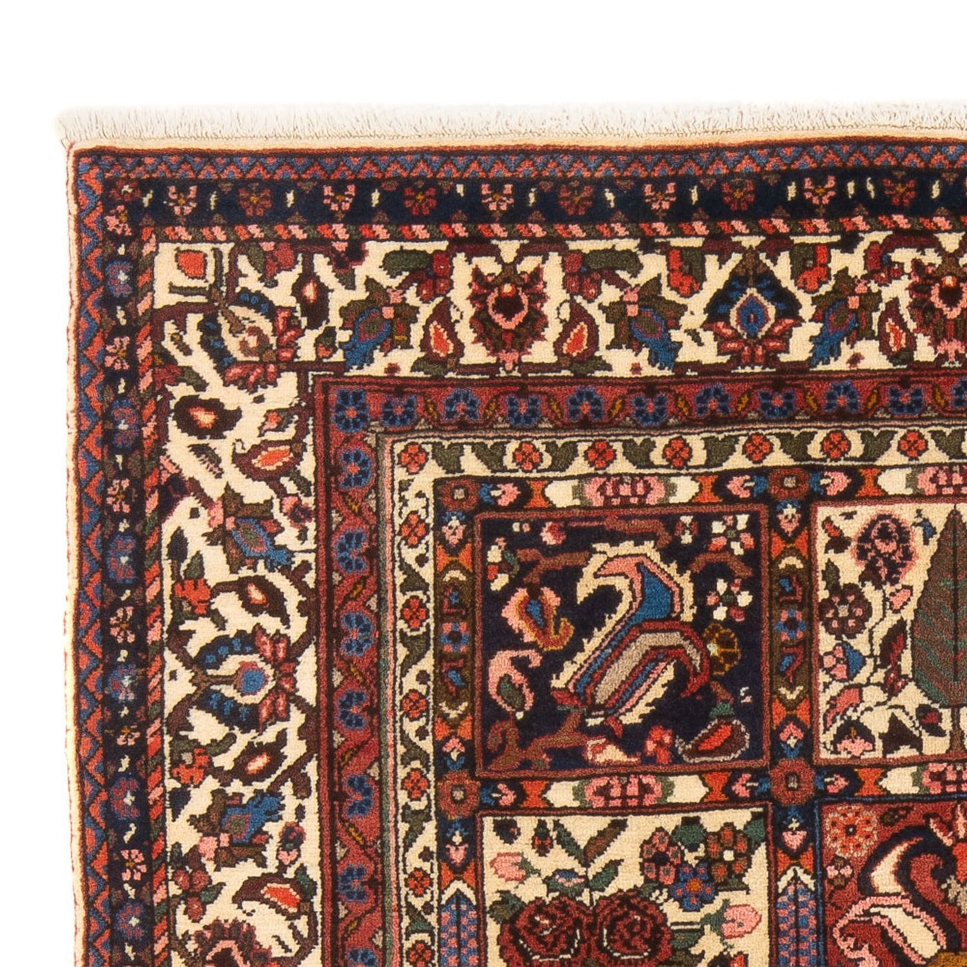 Bakhtiari Dywan 200x138cm - Dywan perski