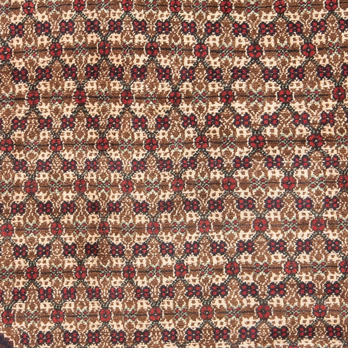 Perski dywan - Nomadyczny - Royal - 197 x 127 cm - kremowy