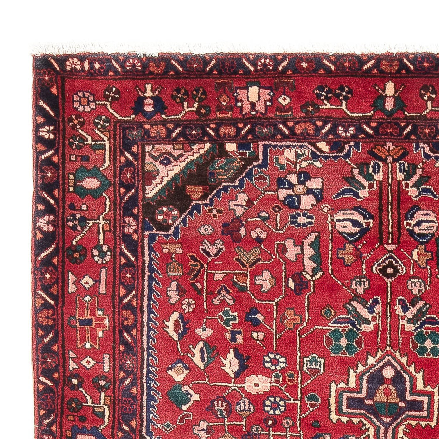 Kolyai Dywan 237x152cm - Dywan perski