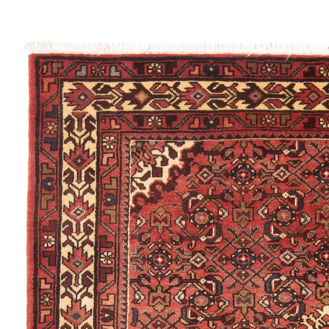 Hamadan Dywan 218x147cm - Dywan perski