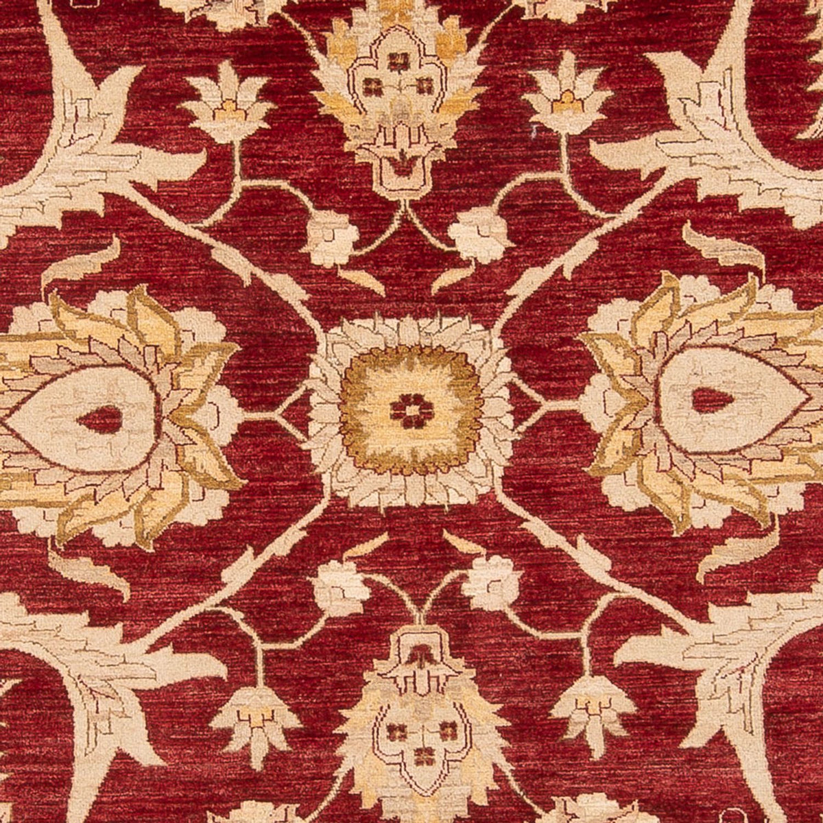 Dywan Zieglera - 371 x 298 cm - czerwony