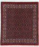 Bidjar - Takab Dywan 110x100cm - Dywan perski