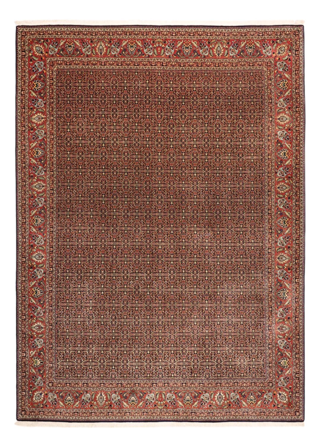 Dywan perski - Bijar - Royal - 342 x 252 cm - terakota