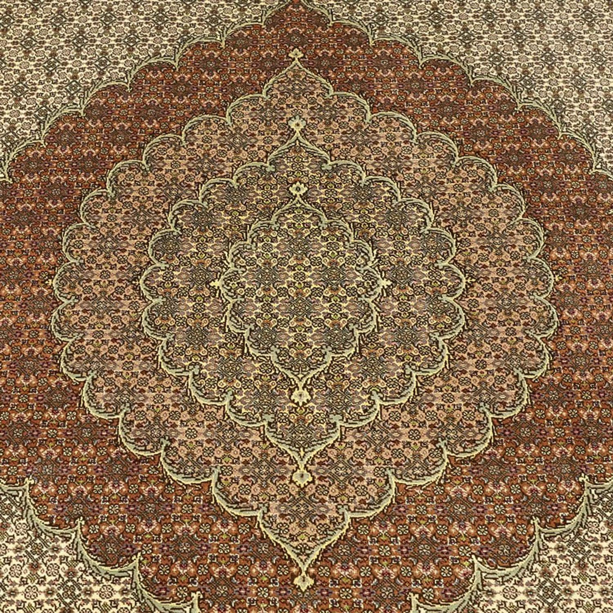 Dywan perski - Tabriz - Królewski - Royal - 336 x 252 cm - taupe