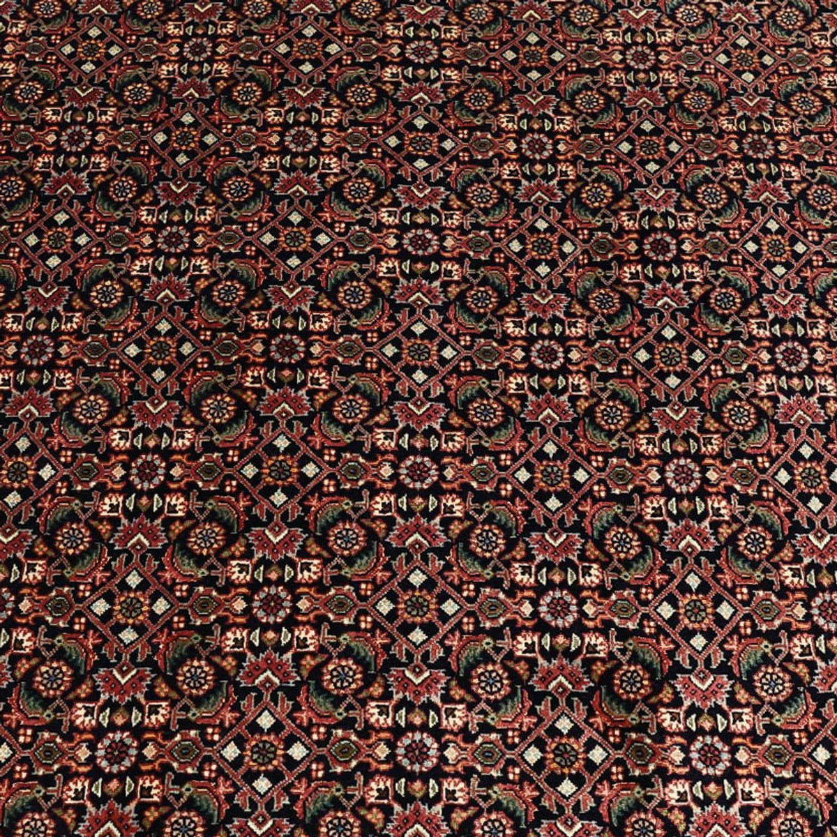 Dywan perski - Bijar - 337 x 255 cm - ciemnoniebieski