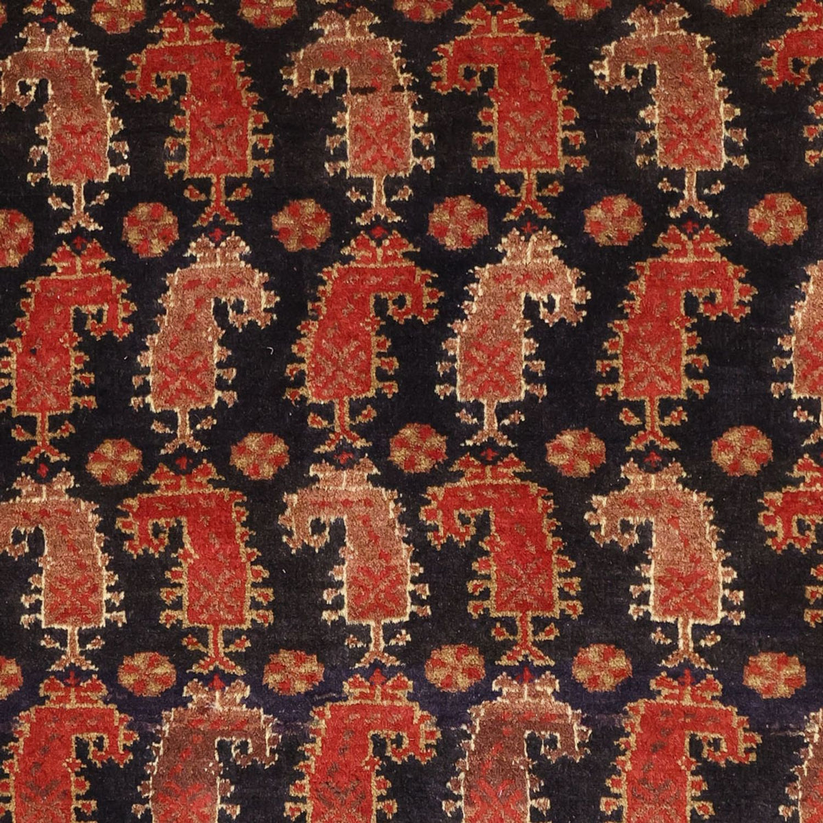 Biegacz Dywan beludżycki - 212 x 102 cm - ciemny beż